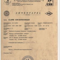 01-claire_ahnentafel_vorderseite_001