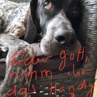 facebook_1499953784782