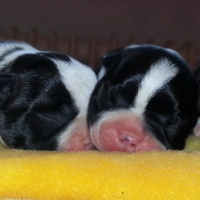 36-20140723_165343-1