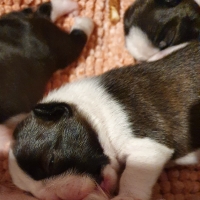 66620200226_181249_resized