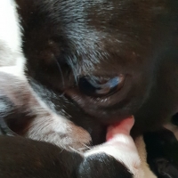 20180823_135114_resized