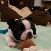 42887276_1881888658525317_4190855566463074304_n