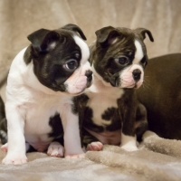 0000000000000000000000000000000000001