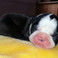 38-20140723_165553-1