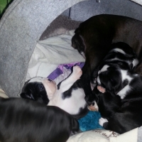 32-oh-mama-ist-da-schnell-rein....