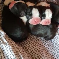 20180823_120222_resized