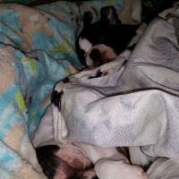 20160208_054607_resized