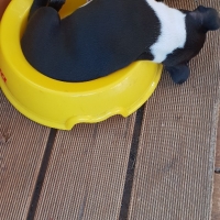 20181012_145751_resized