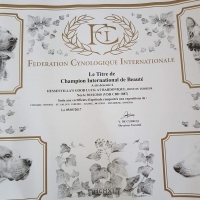 01facebook_1499953625883