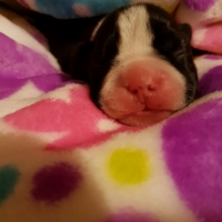 20161127_173712_resized