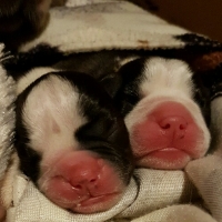 20161128_083822_resized