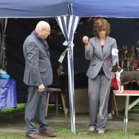 09-mg_192629719126638