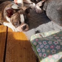 20181016_102558_resized