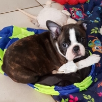 20181013_095448_resized