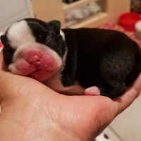 20180827_153416_resized