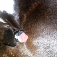 37-20140722_225351-erster-tag