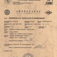 01-ahnentafel_emelie_seite1