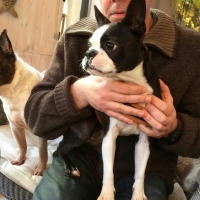 img-20151101-wa0036-1-1