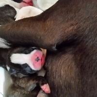 00220151014_130114_resized_2