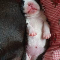 20200830_193307_resized