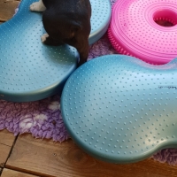 20181015_095958_resized