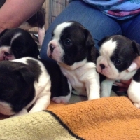 21-img-20140819-wa0014