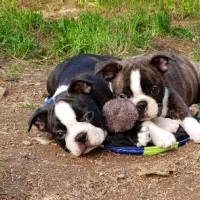 20181012_144224_resized