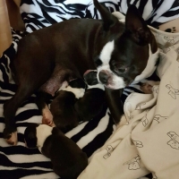 1-emelie-und-ihre-babies