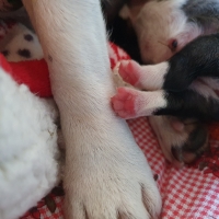 20200826_084251_resized