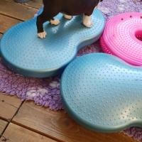 20181015_095859_resized