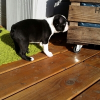 20160126_115656_resized