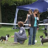 07-mg_192600760790484