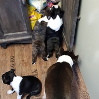 20181015_092023_resized