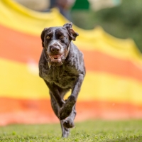 02-grosse-freundin-elly