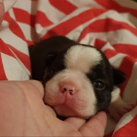 55520200226_185245_resized