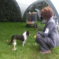 10-mg_192697967268253