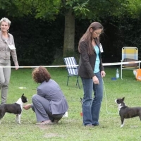 08-mg_192615656720715