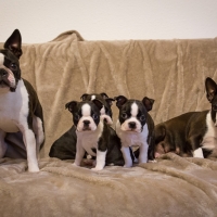 000000000000000000000000000000001