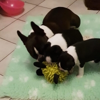 42893244_1881888448525338_9038836391865221120_n