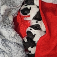 img-20240617-wa0021_resized