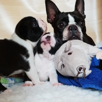 41741850_1860445130669670_927038441386934272_n