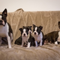 00000000000000000000000000000001