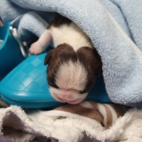 20200825_101234_resized