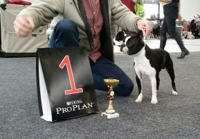 20151114_150255-2_resized