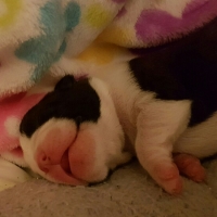 20161128_083605_resized