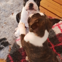 20181013_095657_resized