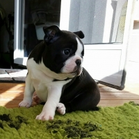 20160126_120516-1_resized