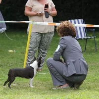 06-mg_192585698264638