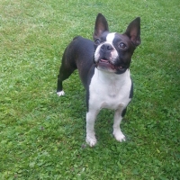 14-20140615_181352_4-1