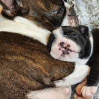 20240706_192248_resized